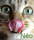 Avatar du membre
