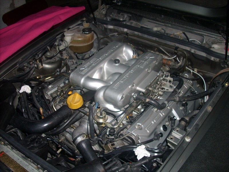 DSCN3214.JPG