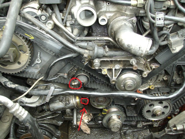 IMGP4649.JPG