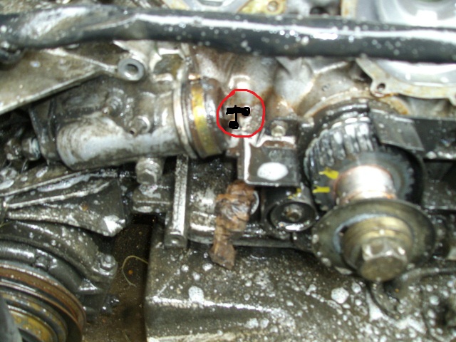 IMGP4653.JPG