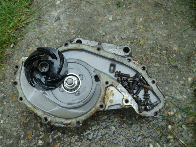 IMGP4654.JPG