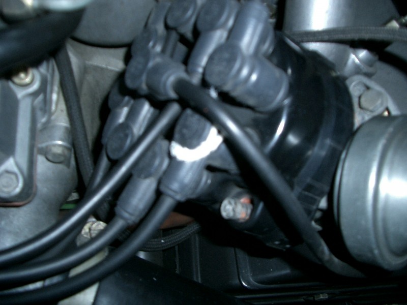 CIMG0883.JPG