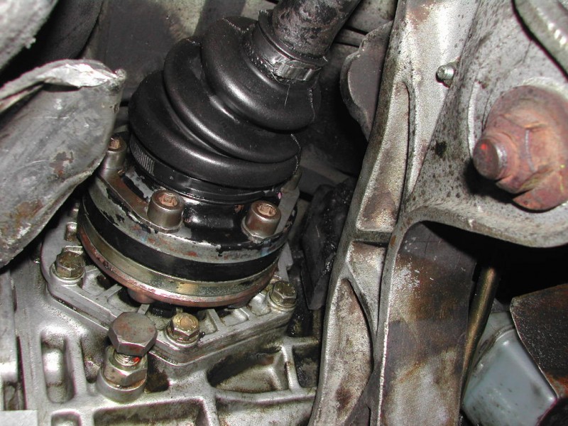 DSCN7358.JPG