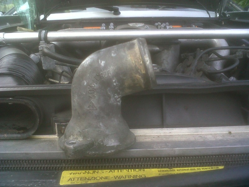 IMG00354-20101003-1754.jpg