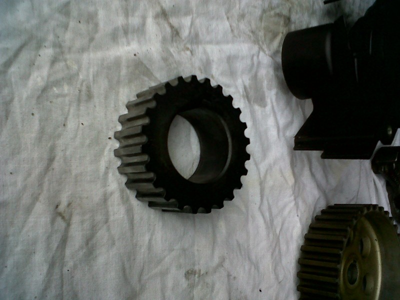IMG00095-20101023-1652.jpg