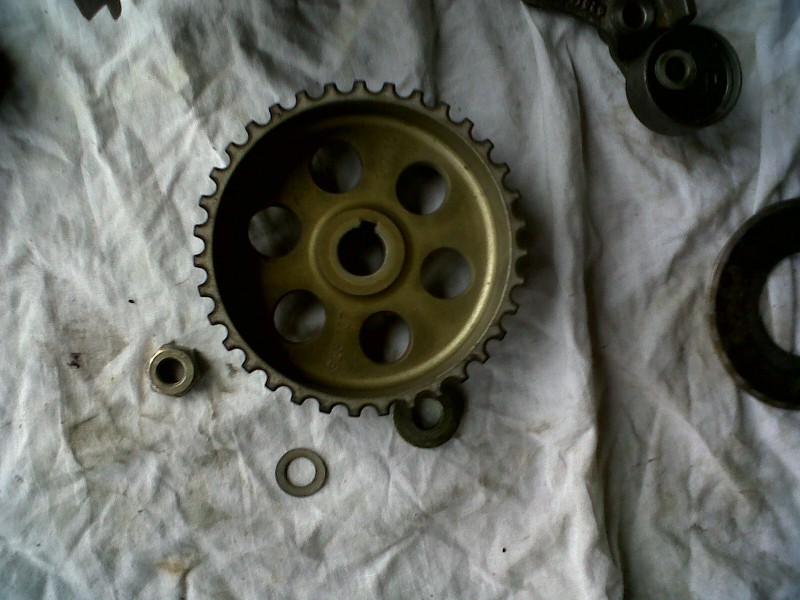 IMG00094-20101023-1652.jpg
