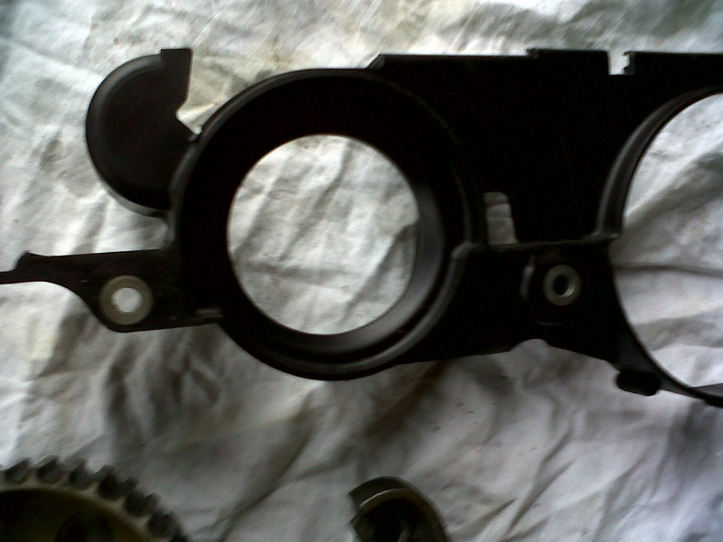 IMG00098-20101023-1652.jpg