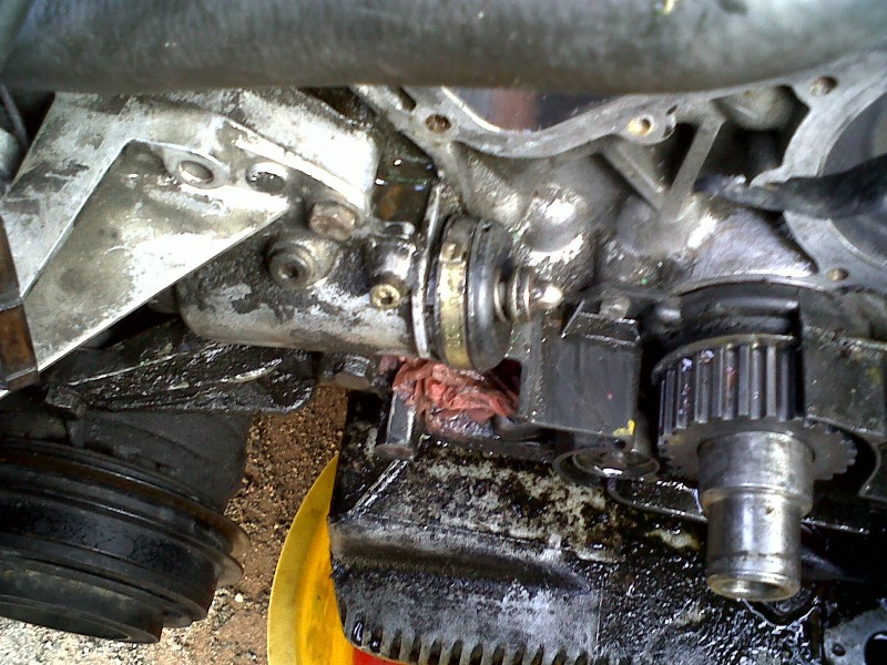 IMG00057-20101023-1056.jpg