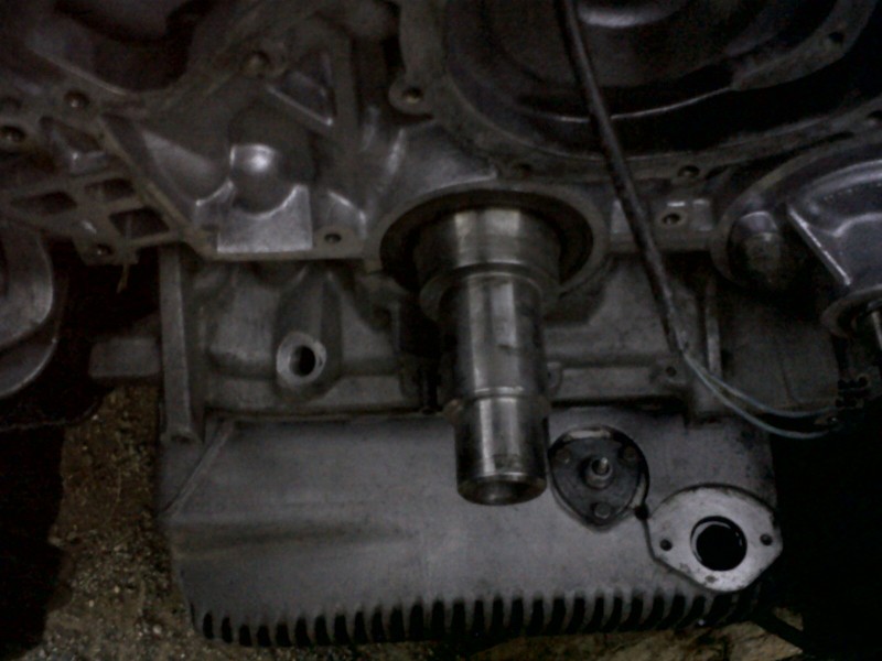 IMG00102-20101026-1848.jpg