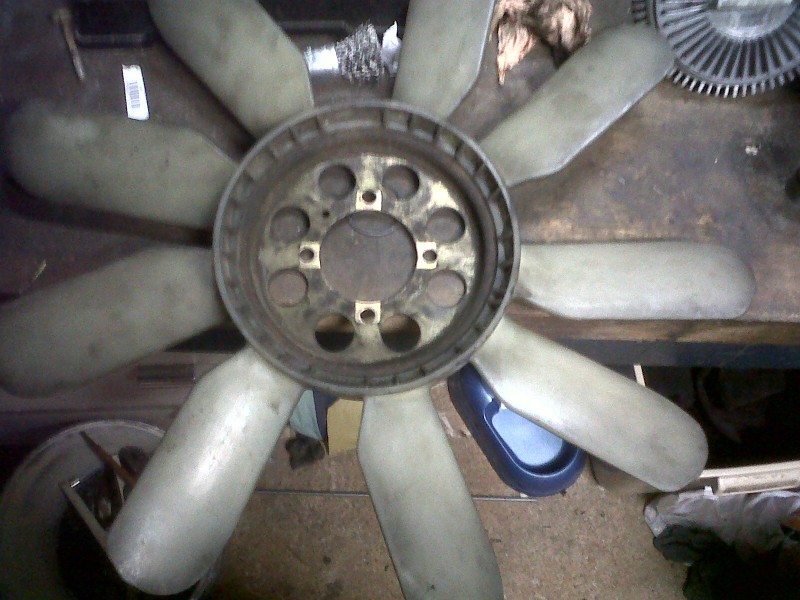 IMG00124-20101030-1812.jpg