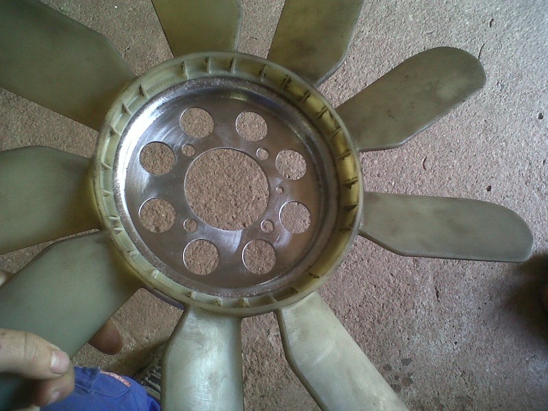 IMG00127-20101031-1232.jpg