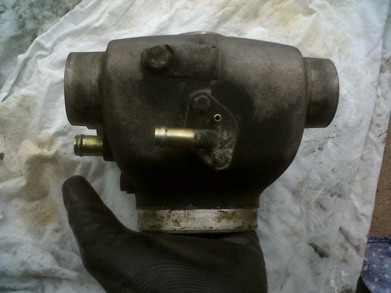IMG00142-20101031-1614.jpg