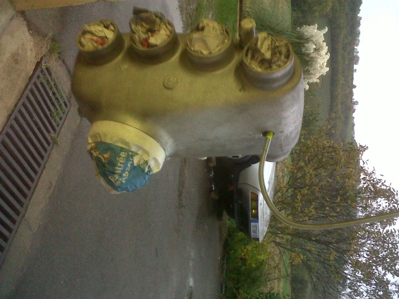 IMG00146-20101031-1709.jpg
