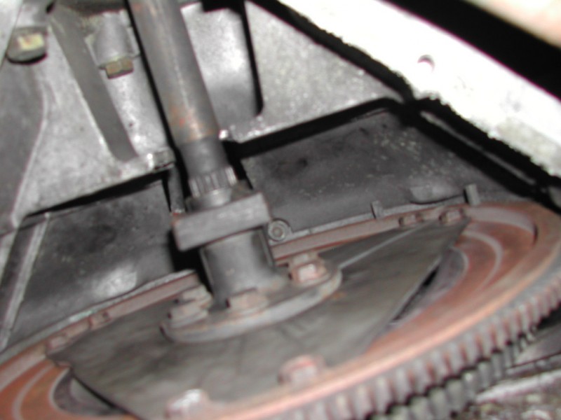 DSCN0501.JPG