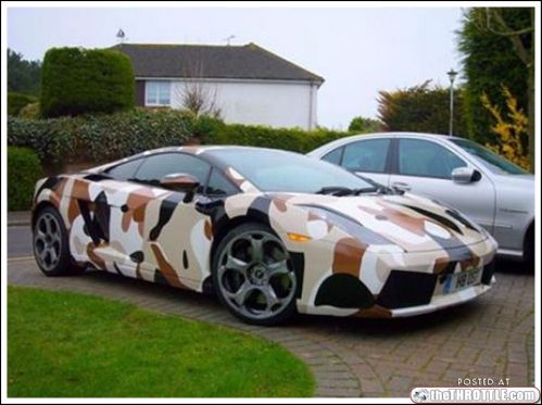 camouflage-cars-12.jpg