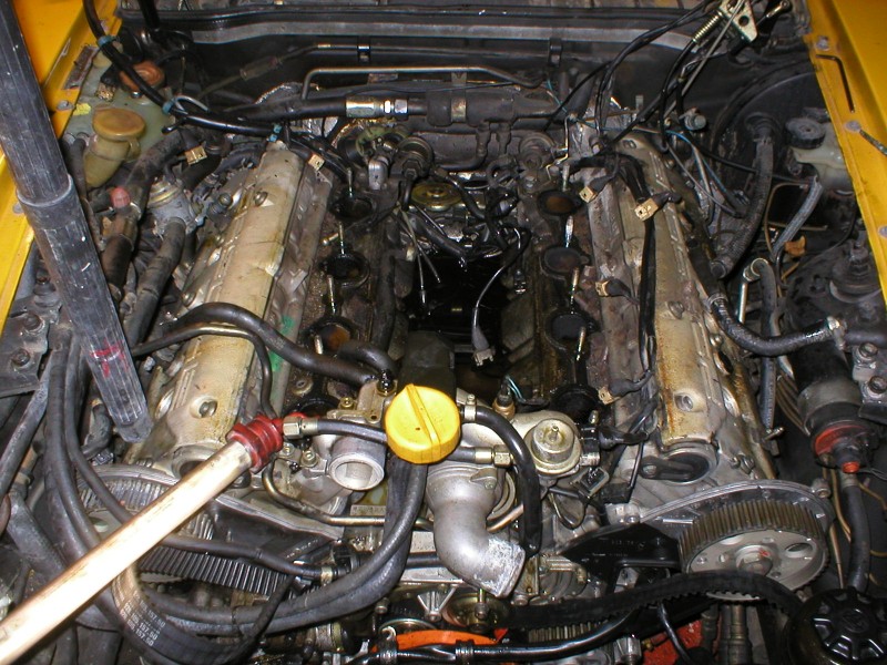 p1010594.JPG