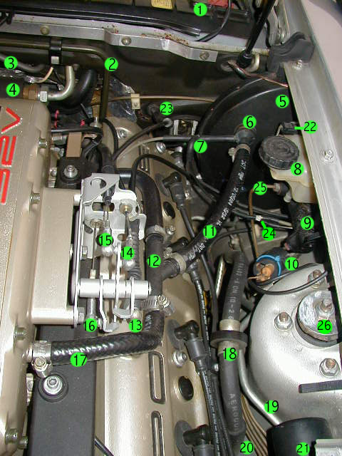 whatisit3.jpg