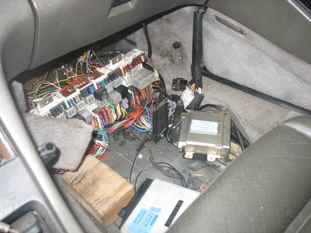 IMG_4776.JPG