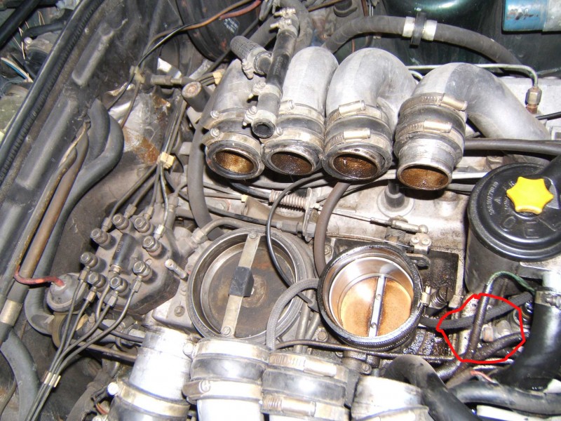 DSCF9458.jpg