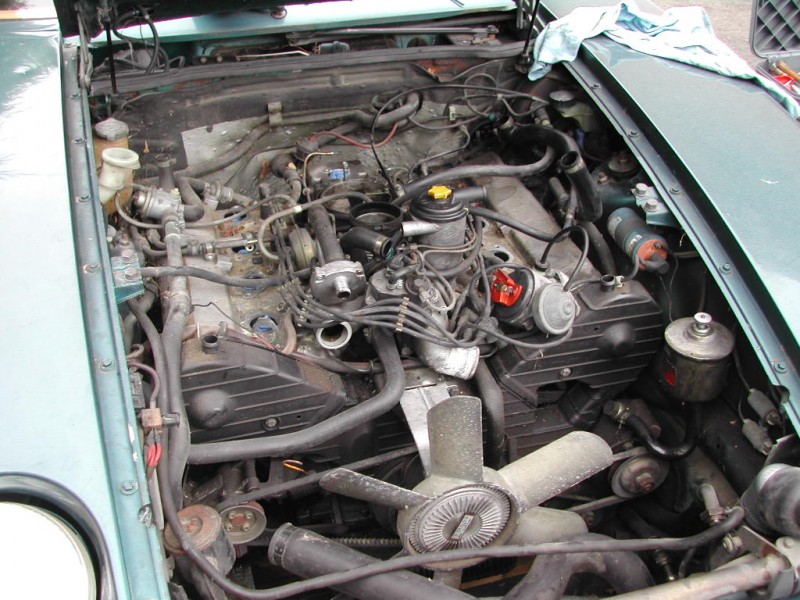DSCN3852.JPG