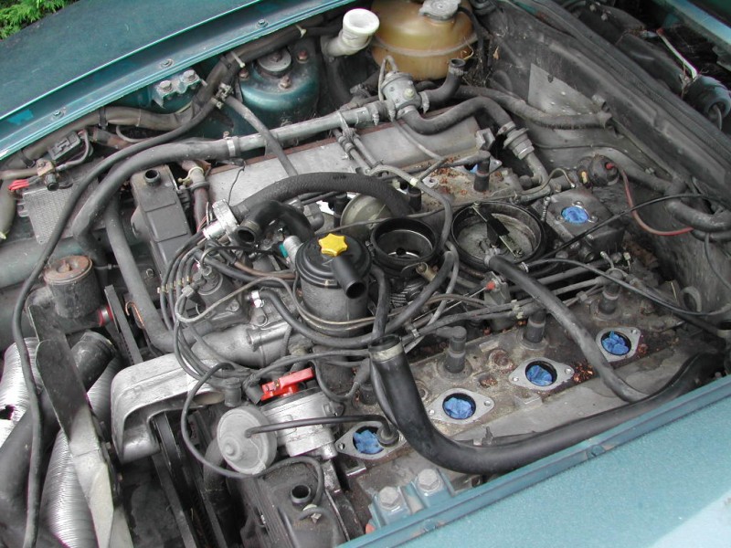 DSCN3854.JPG