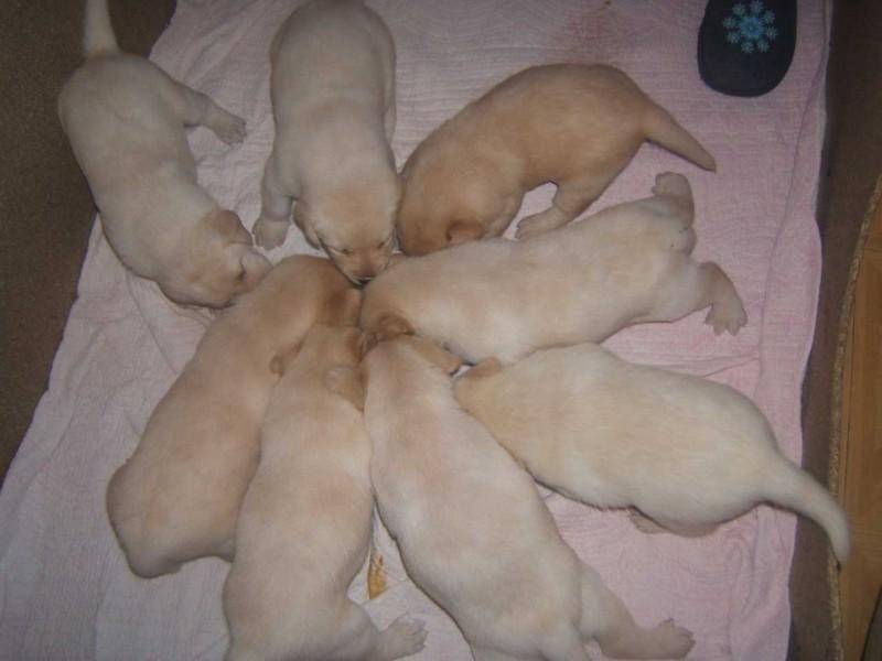 8chilindres (Medium).jpg