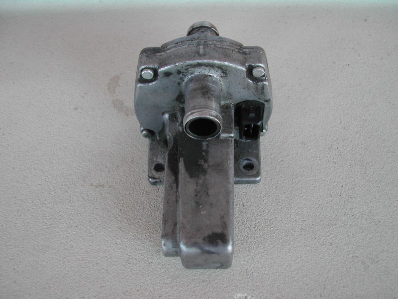 DSCN3972.JPG