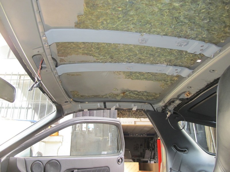 P3.jpg