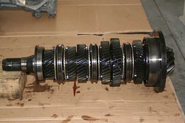 bv3.jpg