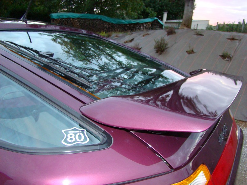 DSC08284.JPG