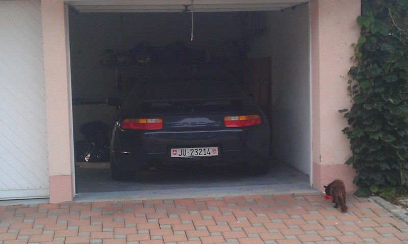 IMAG0171.jpg
