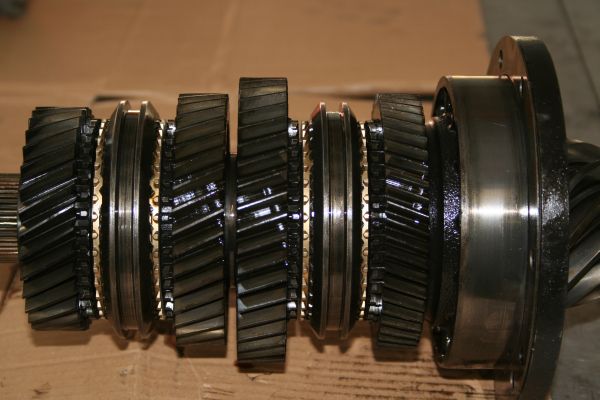 bv2.jpg
