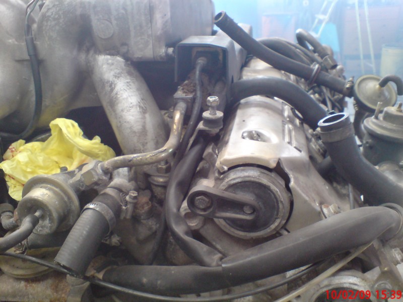 DSC00095.JPG