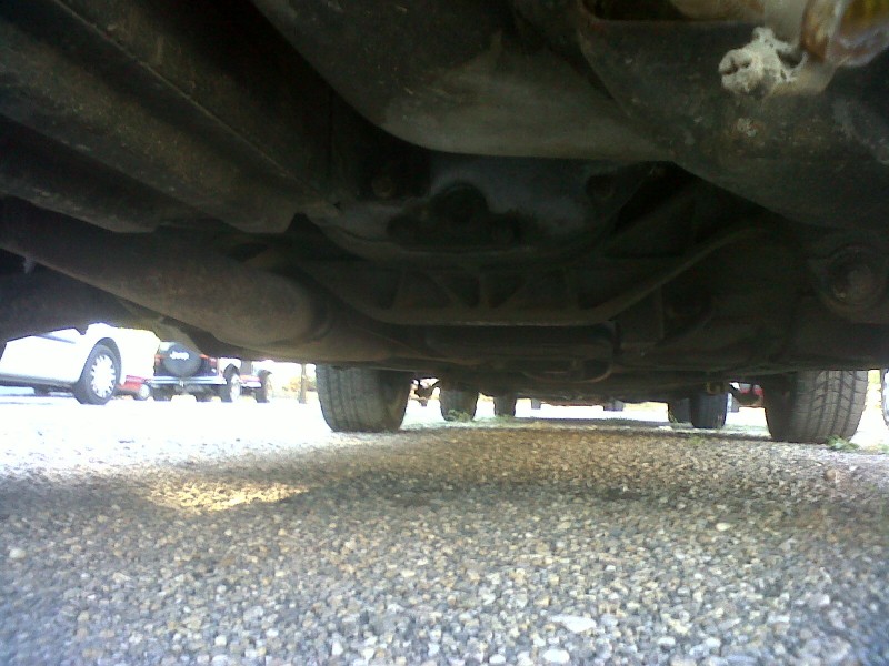 IMG00469-20111011-1000.jpg