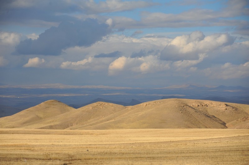 DSC_1850.jpg