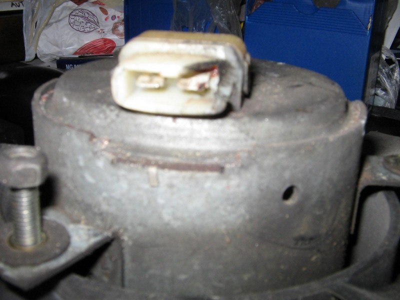 Image_001.jpg