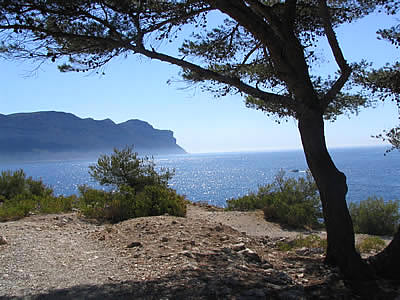 cassis-8.jpg
