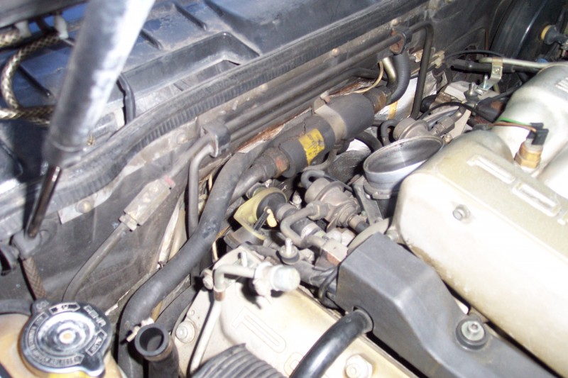 DCP_2558.jpg