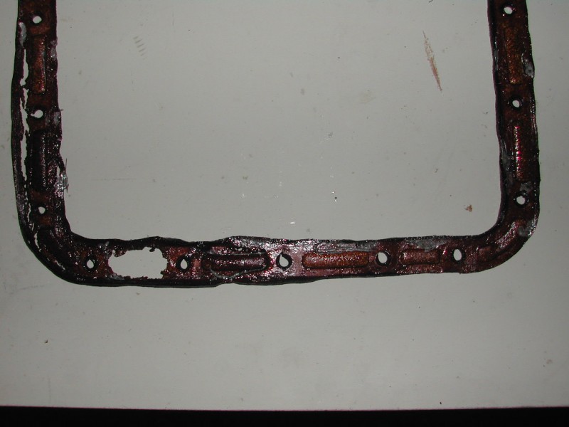 DSCN7396.JPG
