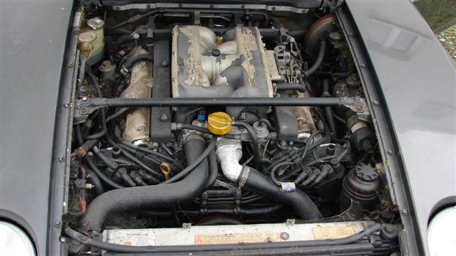 DSC06504.JPG