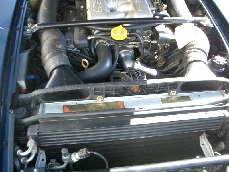 CIMG1809.JPG