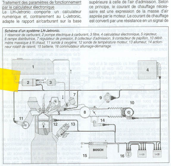 lh- 1 copier.jpg