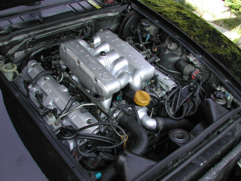 DSCN7262.JPG