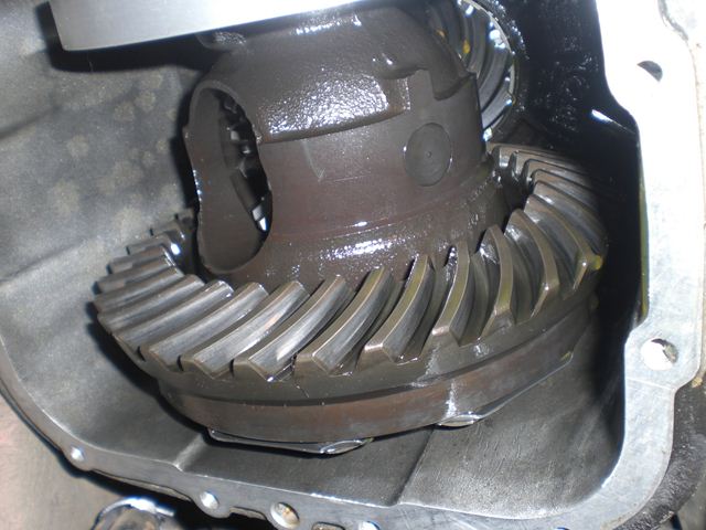 CIMG2997 (Copier).JPG