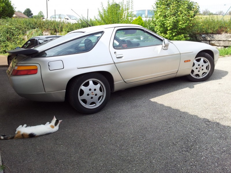 20120911_132546_resize.jpg