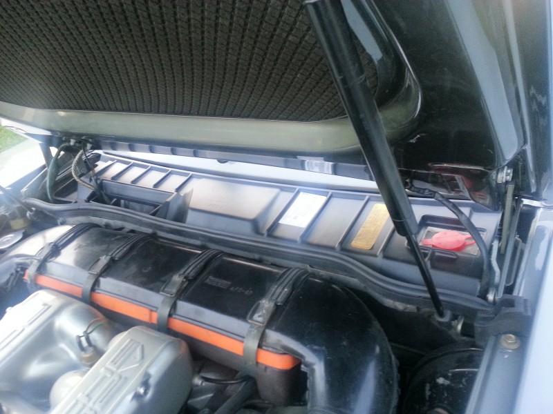 20130821_204716.jpg