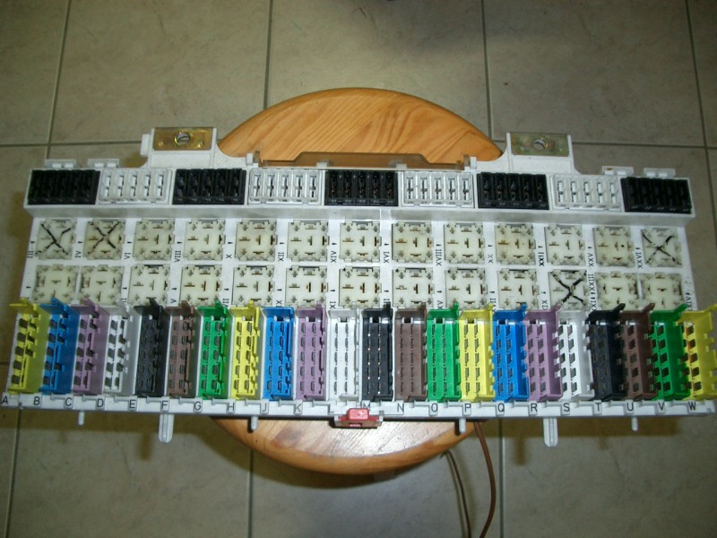 CIMG2549.JPG