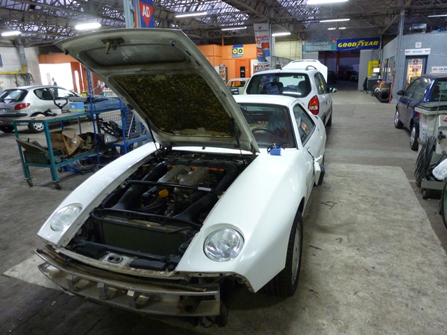 P1010626 - Mini.JPG