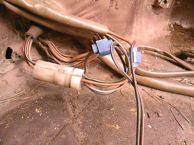 SP_A0775.jpg