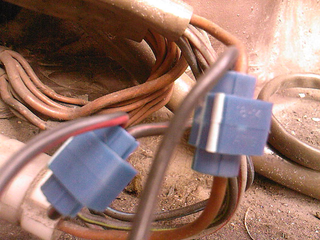 SP_A0776.jpg
